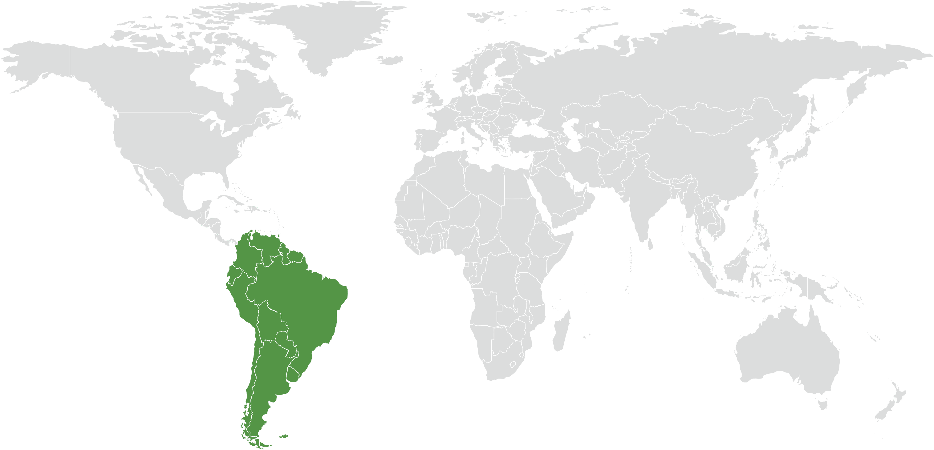 南美洲